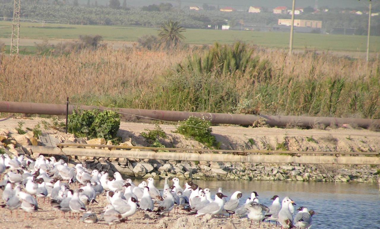Jordan Valley Birding Lodge Kefar Ruppin Exterior photo