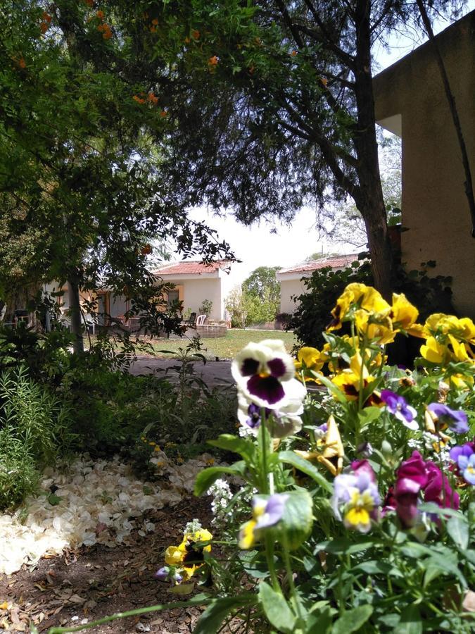 Jordan Valley Birding Lodge Kefar Ruppin Exterior photo